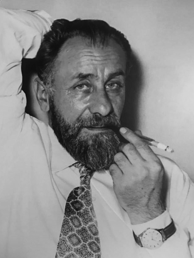 Maestro di disegno e pittura